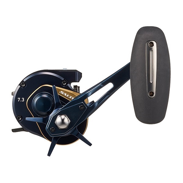 25ソルティガ IC